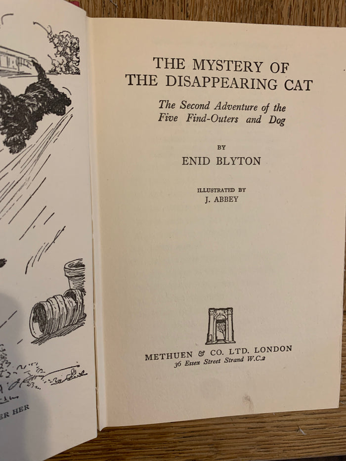 The Mystery of the Disappearing Cat
