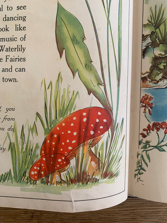 A Day in Fairy Land