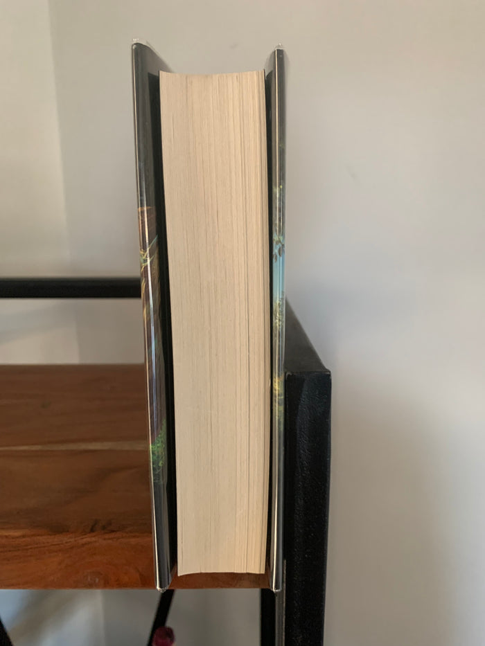 A Tale of Magic