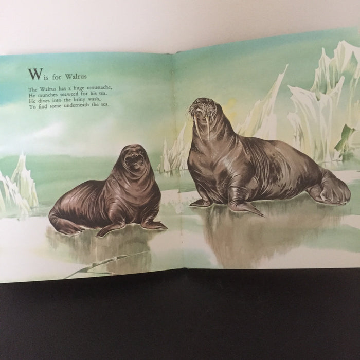 ABC of Nature - A Dean Gold Medal Book