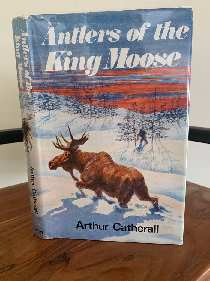 Antlers of the King Moose