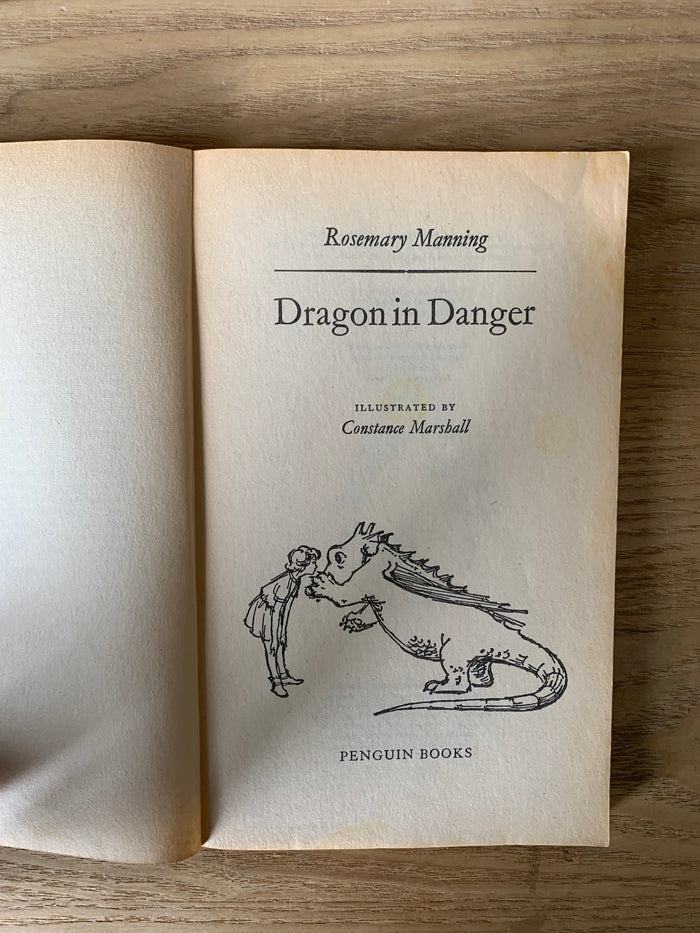 Dragon in Danger