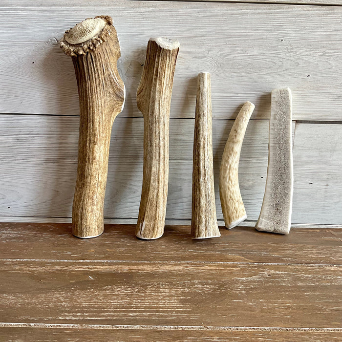 ELK ANTLERS