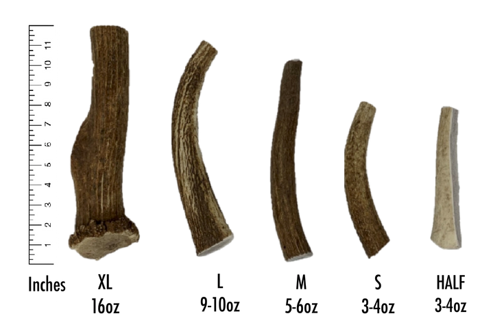 ELK ANTLERS