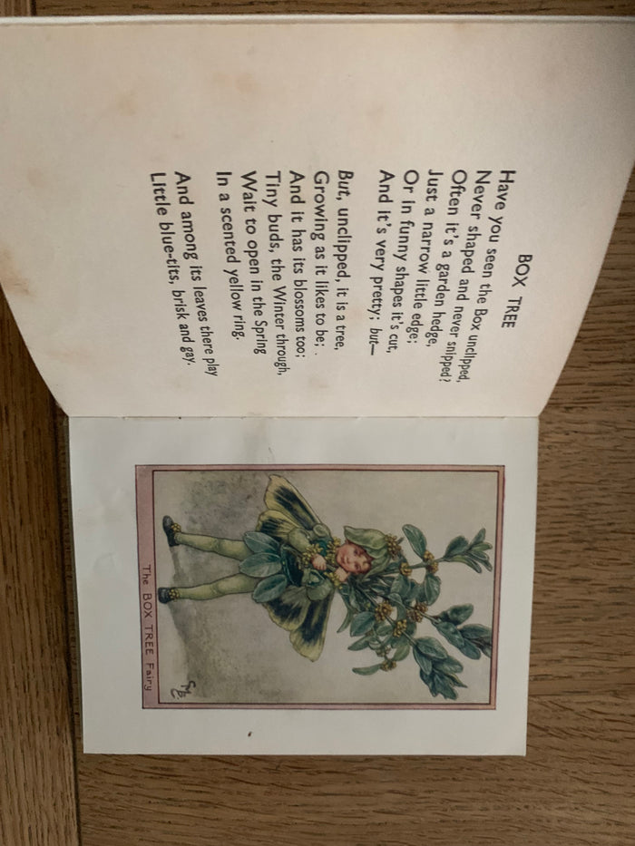 Fairies of the Trees