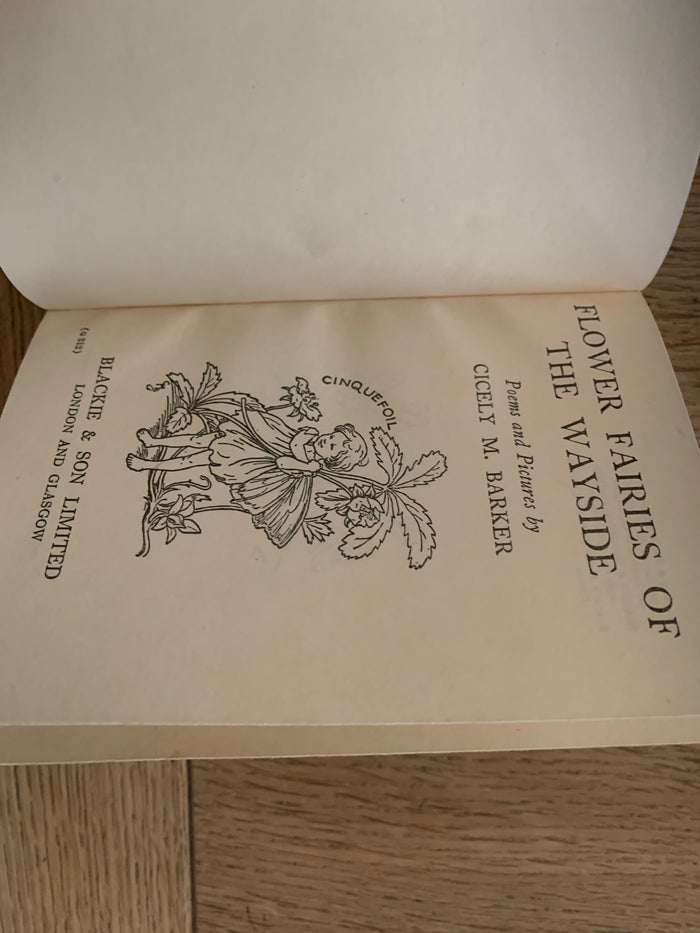 Flower Fairies of the Wayside