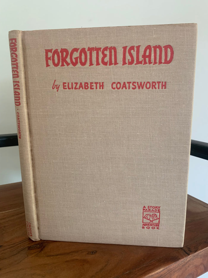 Forgotten Island