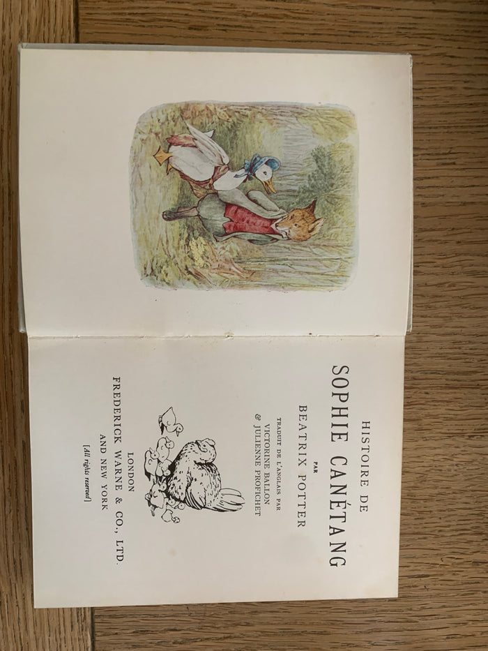 Histoire De Sophie Canetang