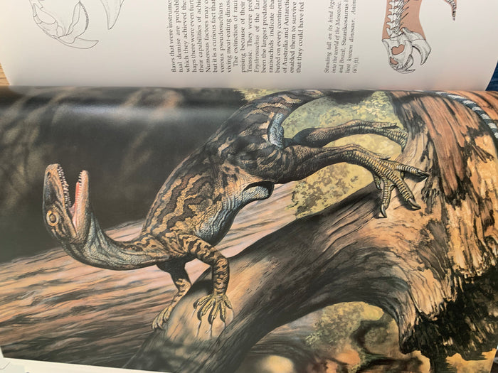Dinosaurs - A Global View