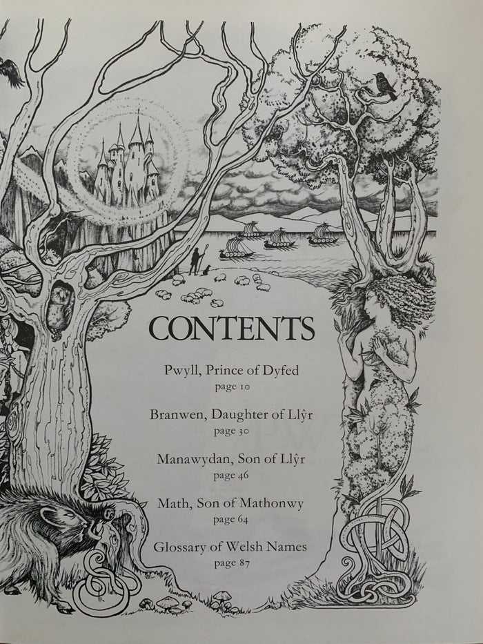 Tales From The Mabinogion