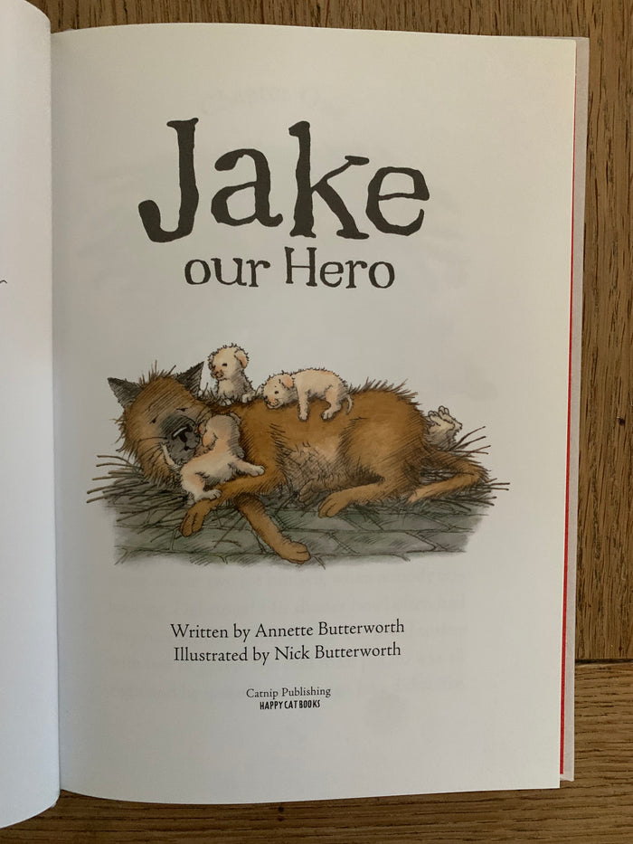 Jake Our Hero