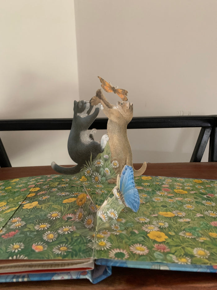Kittens (Pop-up)