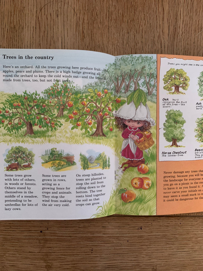 Learn with Victoria Plum: Trees