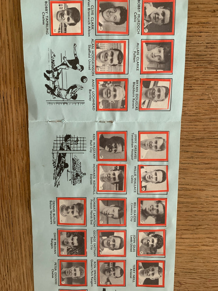 Lion and Champion Album of Soccer Stars