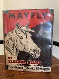 Mayfly - The Grey Pony
