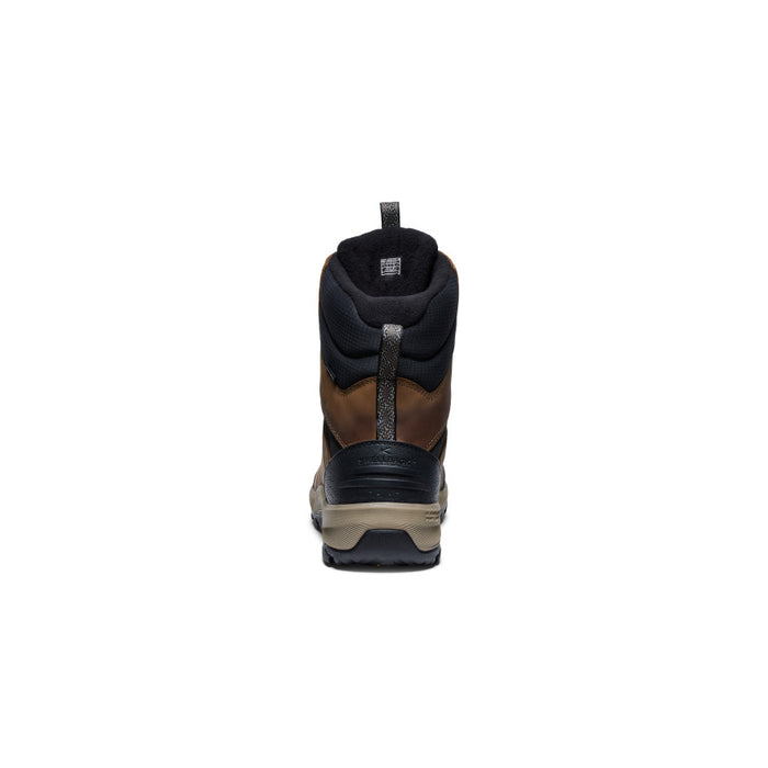 image|one|both|both|Men's Revel IV High Polar Waterproof Boot - Back Image