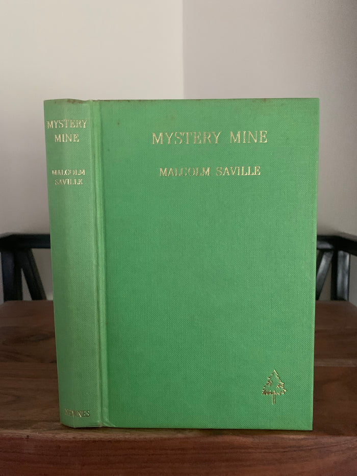 Mystery Mine