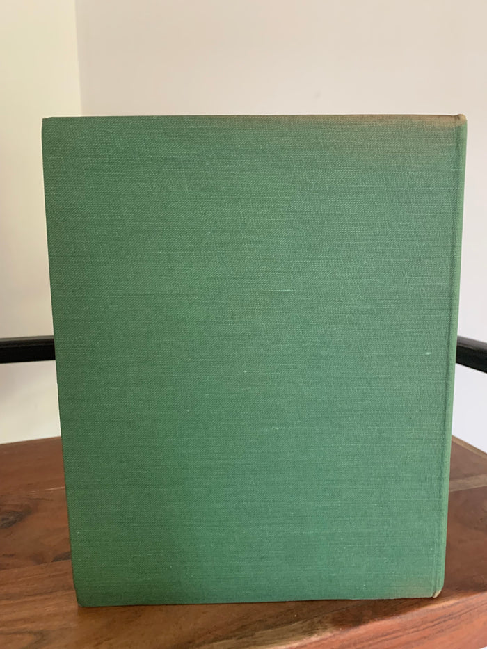 Older Mousie