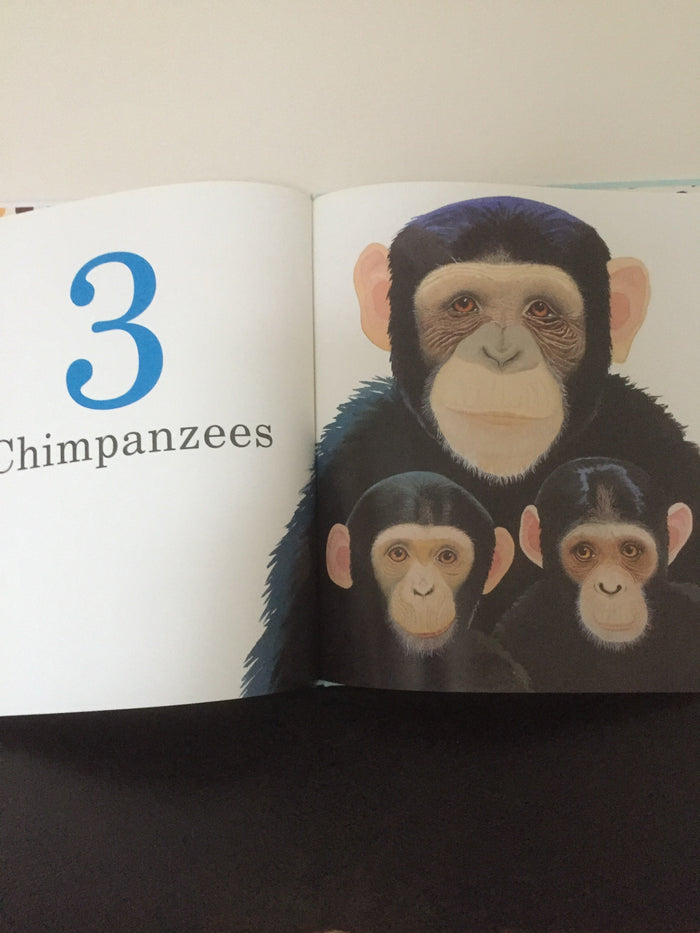 One Gorilla - A Counting Book