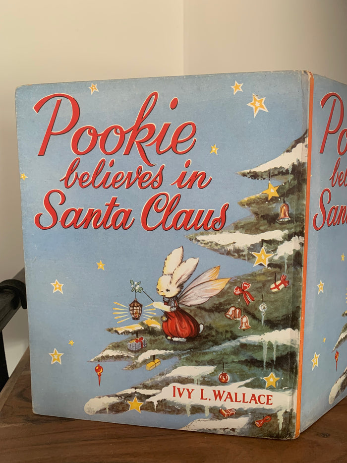 Pookie Believes in Santa Claus