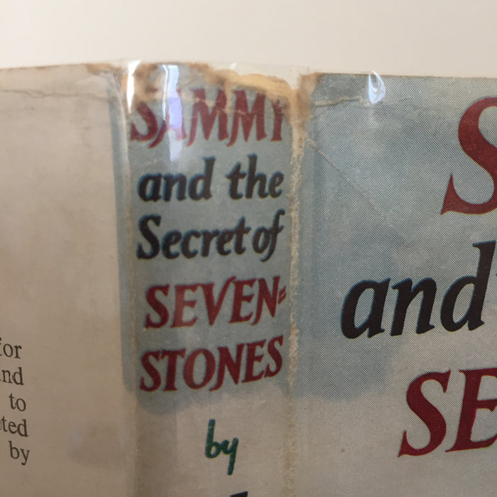 Sammy and the Secret of Sevenstones