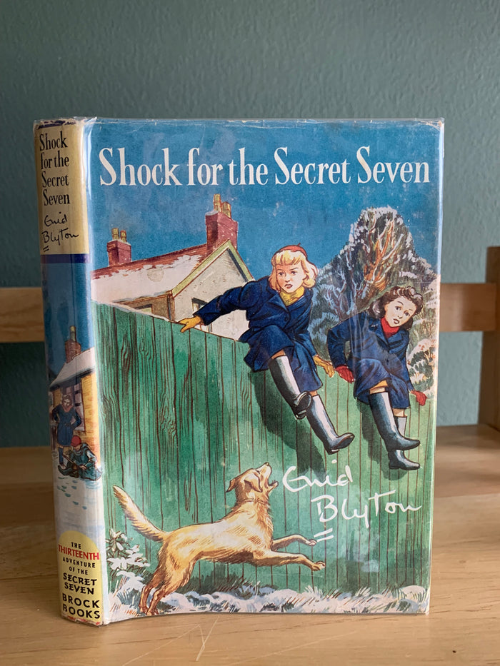 Shock For The Secret Seven