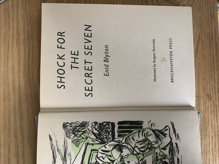 Shock For The Secret Seven