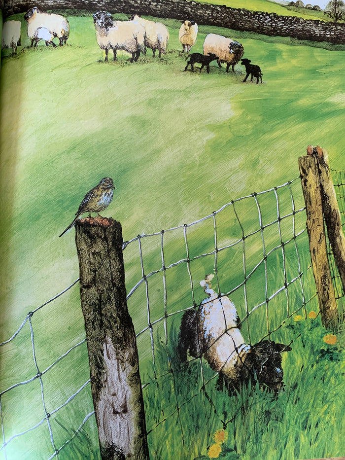 Smudge's Day Out