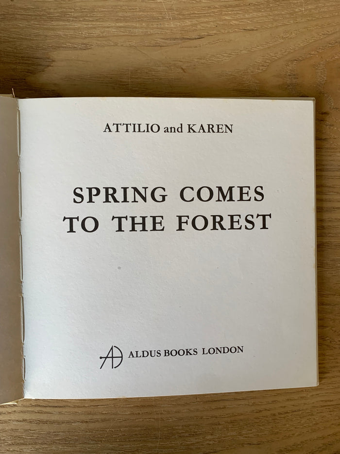 Spring Comes To The Forest