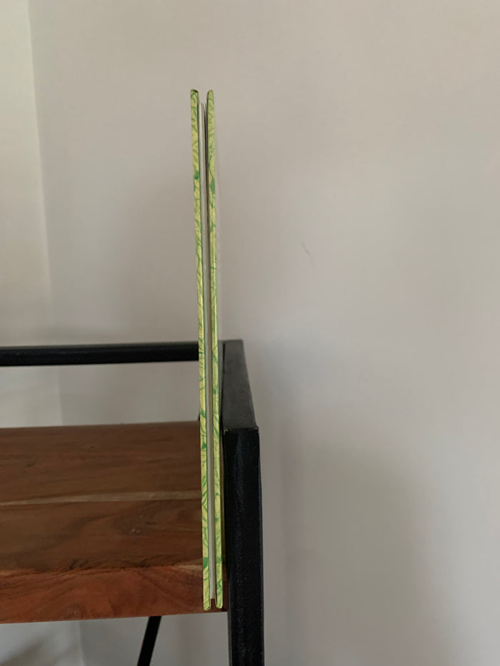 The Book of Giants