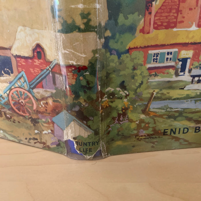 The Children of Willow Farm - A Tale of Life on a Farm