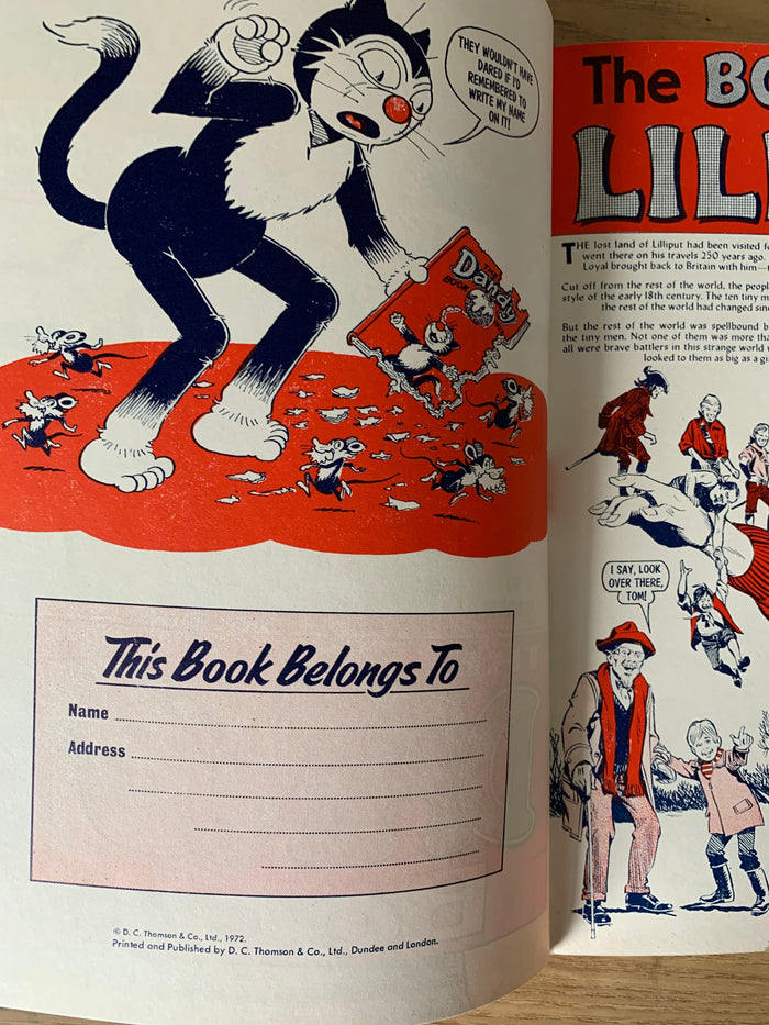 The Dandy Book 1973