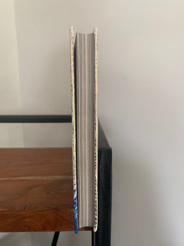 The Incomplete Book of Dragons - a guide to dragon species (signed with large dragon doodle)