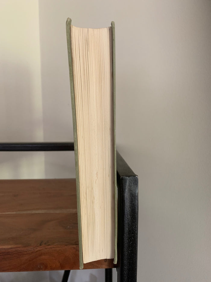 The Pilgrim's Progress