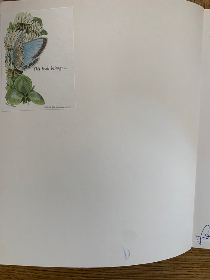 The Sad Story of Veronica Who Played the Violin (signed with doodle)