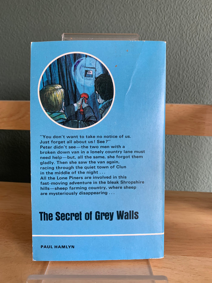 The Secret of Grey Walls