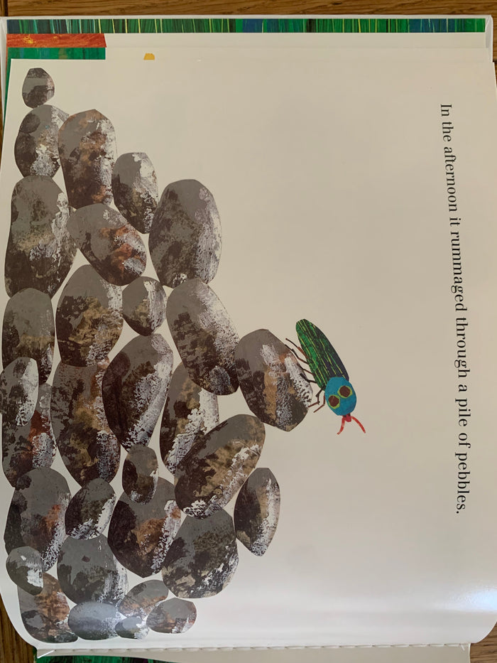 The Very Clumsy Click Beetle
