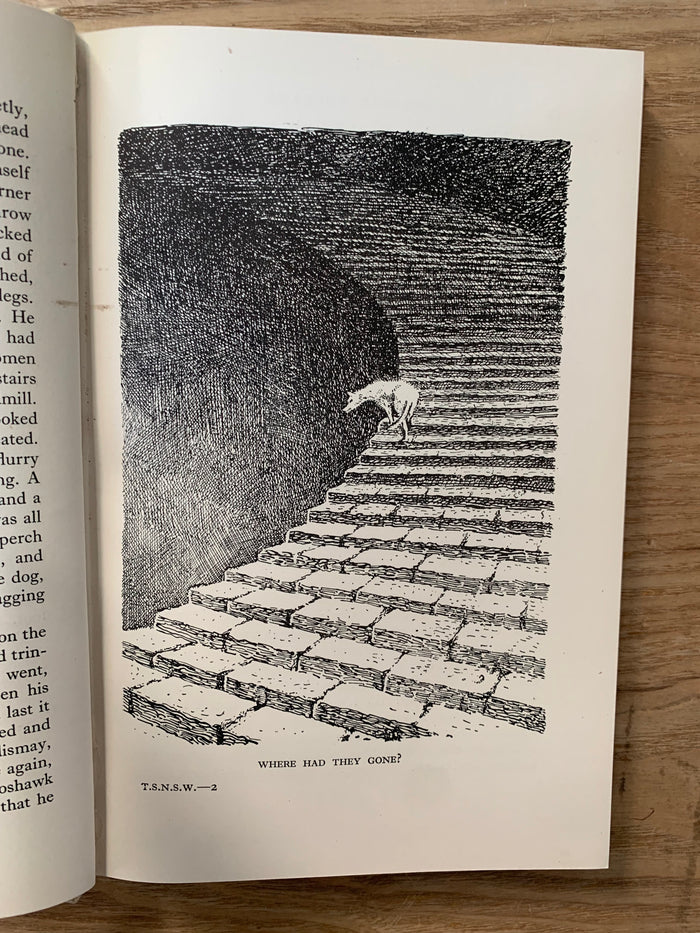 Thou Shalt Not Suffer a Witch and other stories