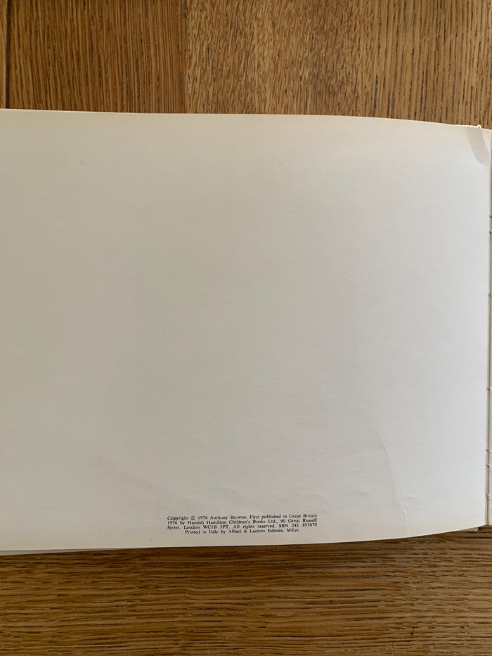 Through The Magic Mirror (signed)