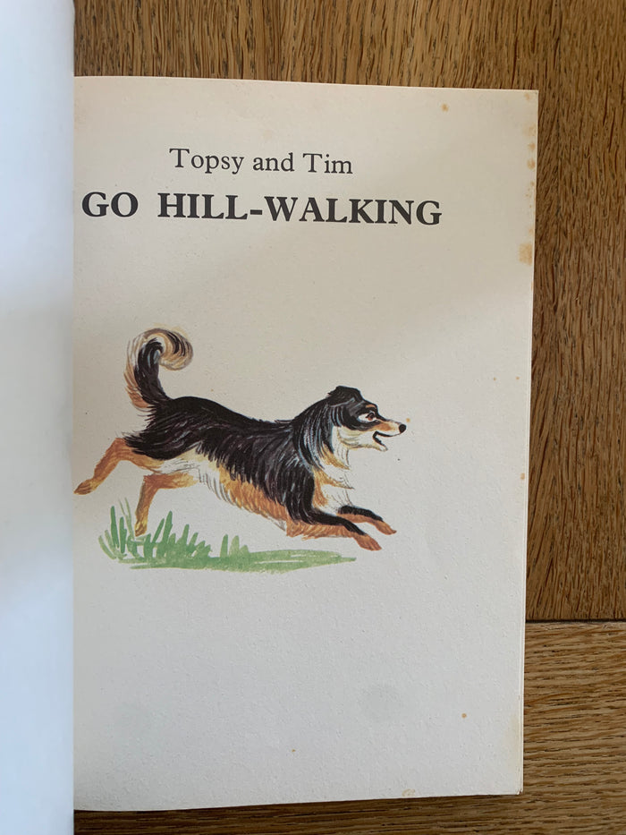 Topsy and Tim Go Hill-Walking