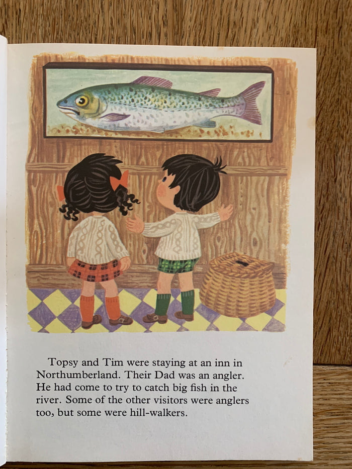 Topsy and Tim Go Hill-Walking