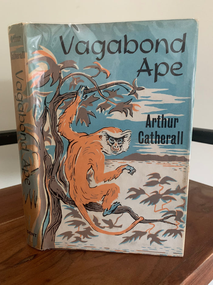 Vagabond Ape