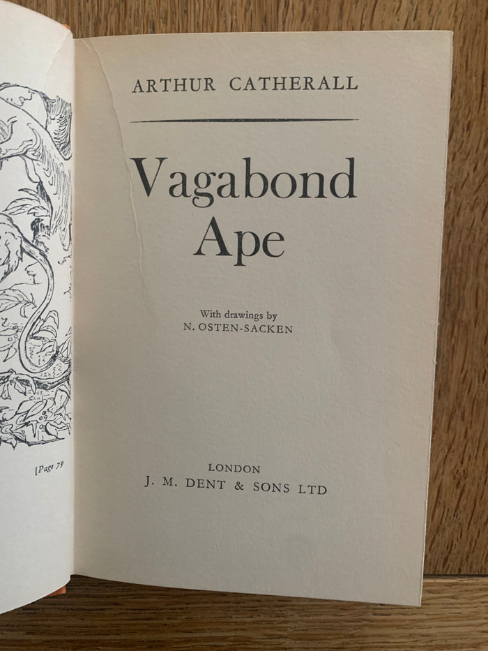 Vagabond Ape