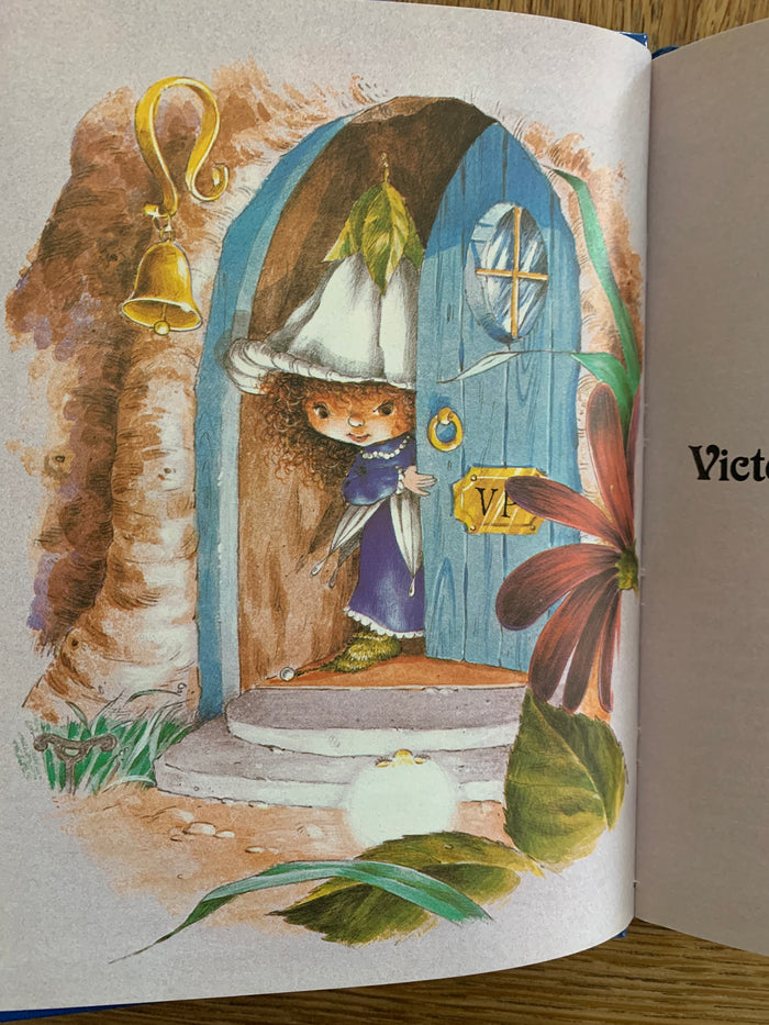 Victoria Plum - Victoria and the Lost Moonbeam