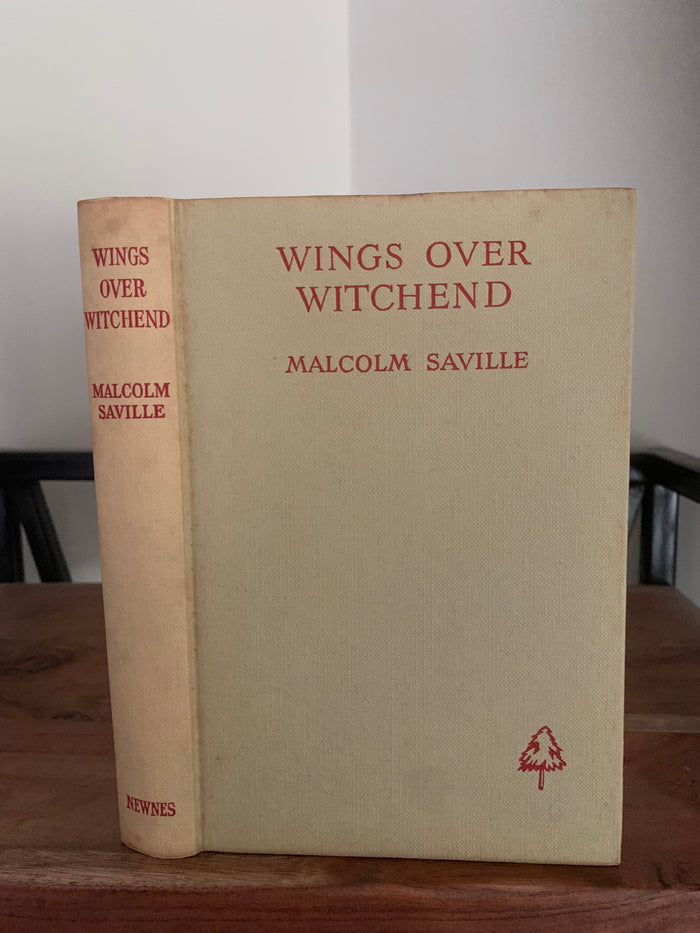 Wings Over Witchend