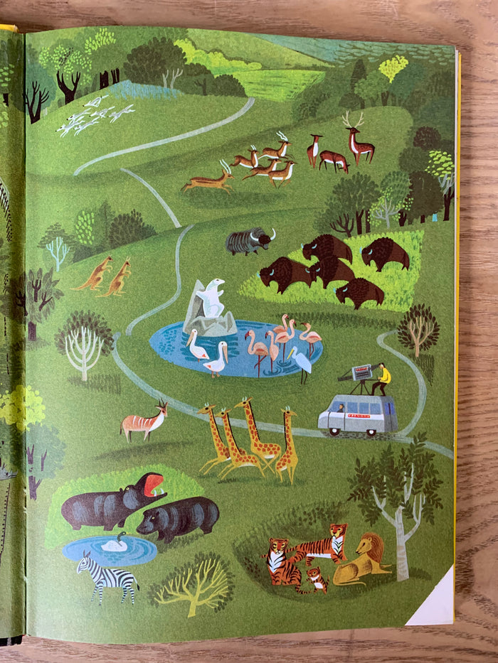 Zoo Time Annual