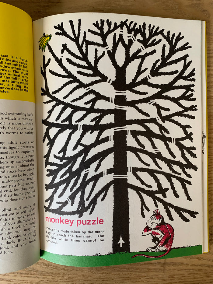 Zoo Time Annual